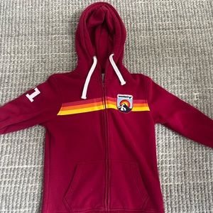 Vintage Snowbird hoodie